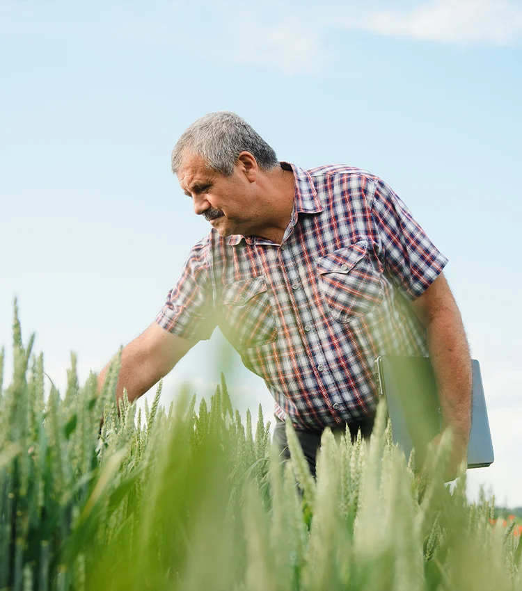 imagem agronomo triste2